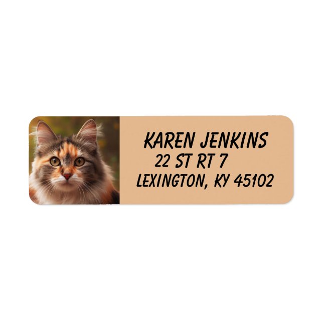 CALICO CUTE CAT CUSTOM Return Address Labels (Front)