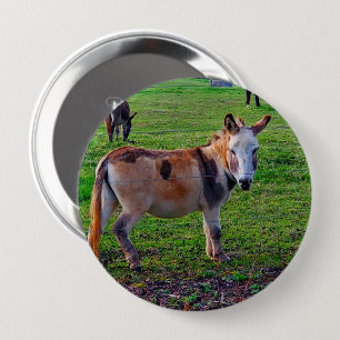 Calico Donkey 10 Cm Round Badge