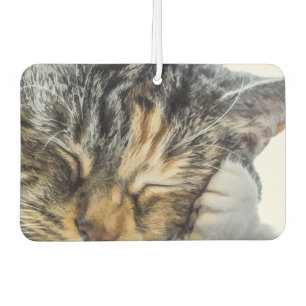 Calico Dreams Air Freshener