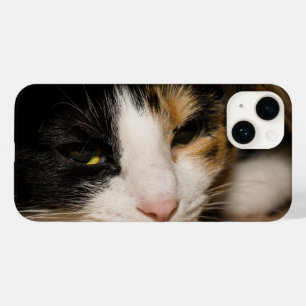 Calico Face Case-Mate iPhone 14 Case