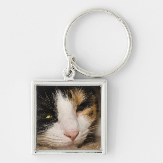 Calico Face Key Ring (Front)