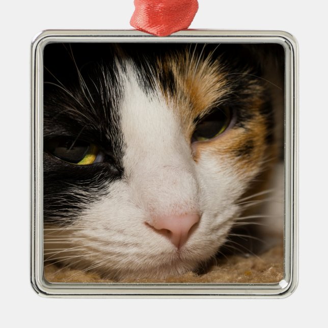 Calico Face Metal Tree Decoration (Front)