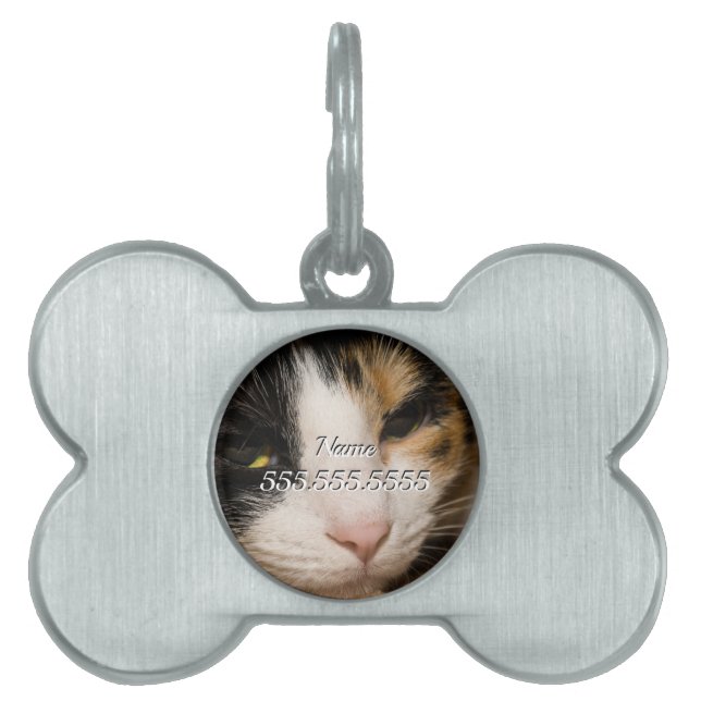 Calico Face Pet Tag (Front)