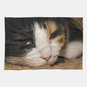 Calico Face Tea Towel