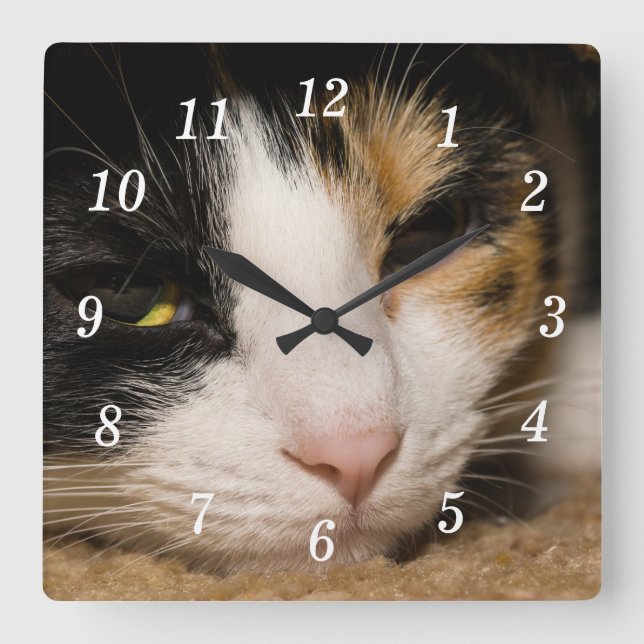 Calico Face Wall Clock (Front)
