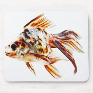 Calico Fantail Comet goldfish Mouse Mat