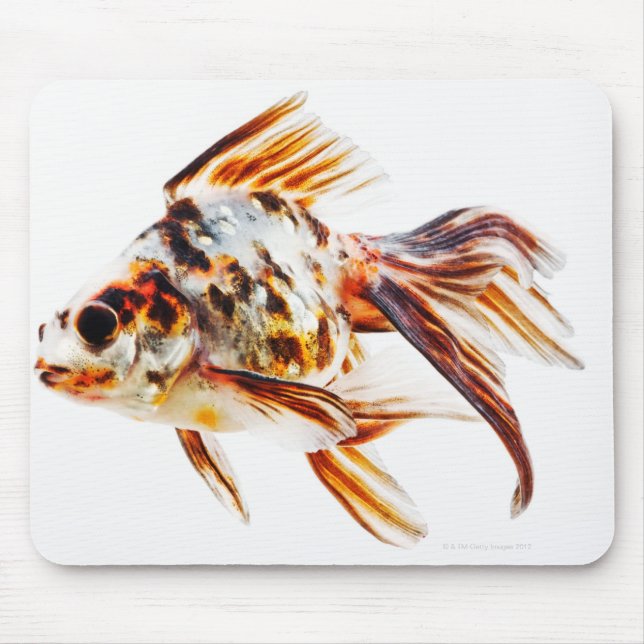 Calico Fantail Comet goldfish Mouse Mat (Front)