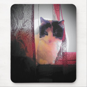 Calico Gashia Mouse Mat
