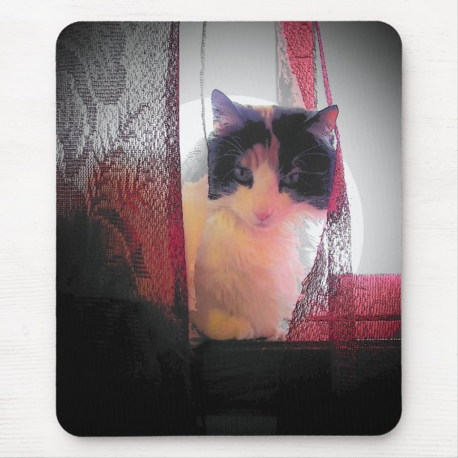 Calico Gashia Mouse Mat (Front)