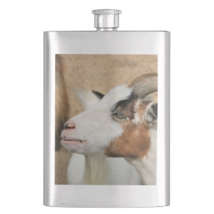 Calico goat hip flask