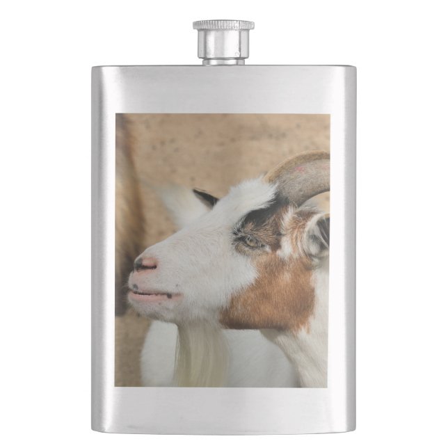 Calico goat hip flask (Front)