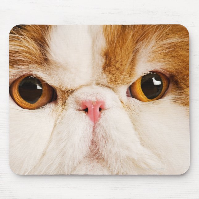 Calico Harlequin Persian Mouse Mat (Front)