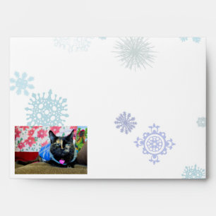 Calico I Envelope