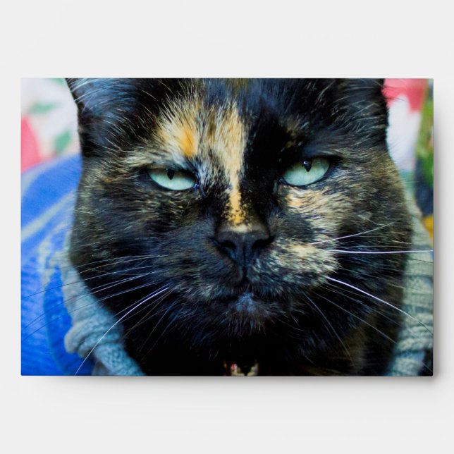 Calico I Envelope (Front)