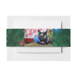 Calico I Invitation Belly Band