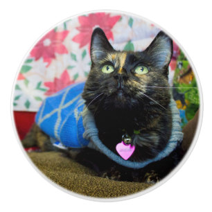 Calico II Ceramic Knob