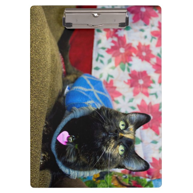 Calico II Clipboard (Front)