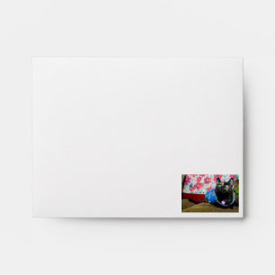 Calico II Envelope