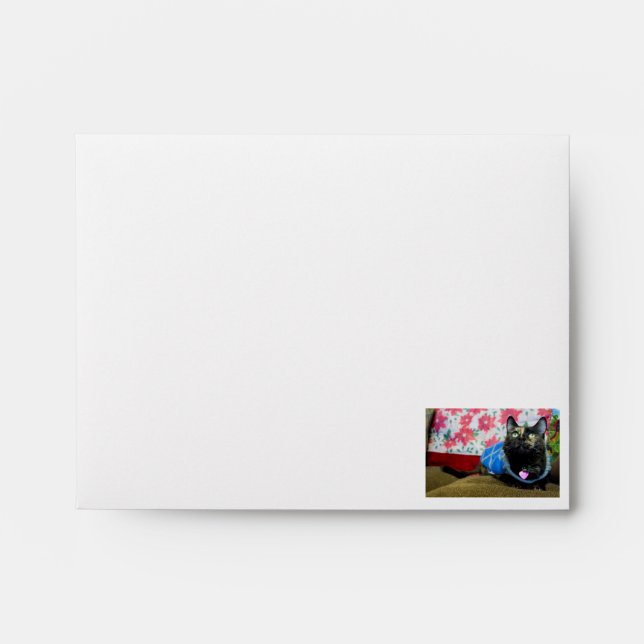 Calico II Envelope (Front)