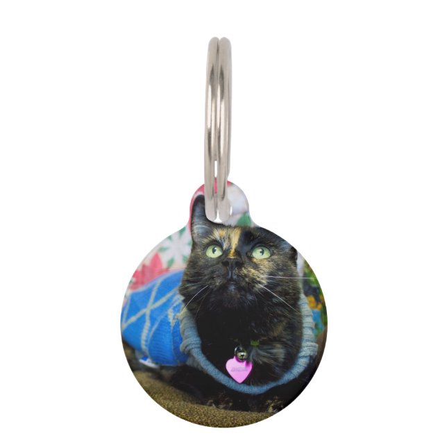Calico II Pet Tag (Front)
