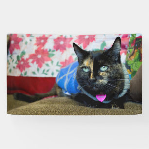 Calico III Banner