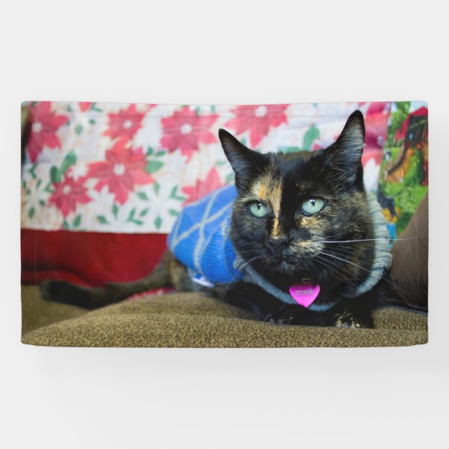 Calico III Banner (Horizontal)
