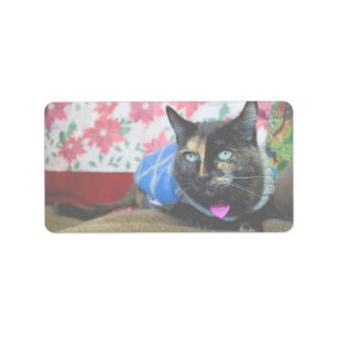 Calico III Label