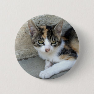 Calico Kitten 6 Cm Round Badge
