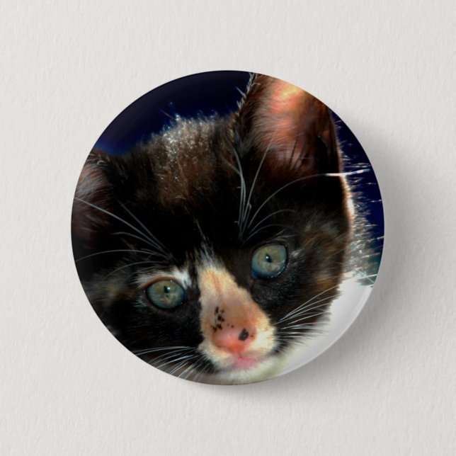 Calico Kitten Button (Front)