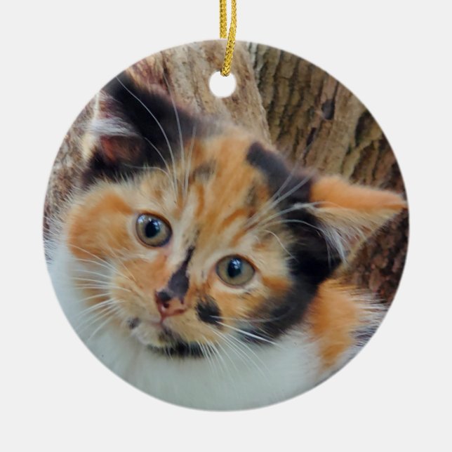 Calico kitten ceramic tree decoration (Front)