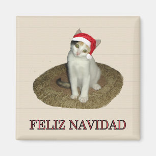 Calico Kitten Feliz Navidad Magnet