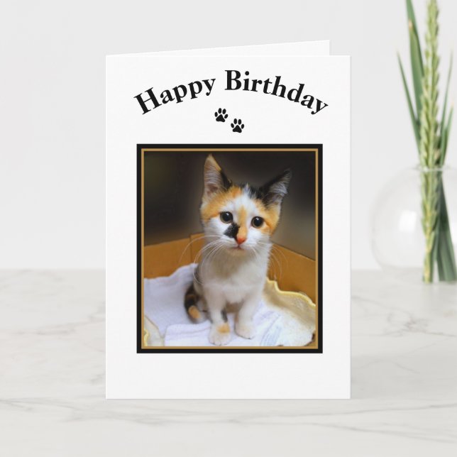Calico Kitten Happy Birthday Card (Front)