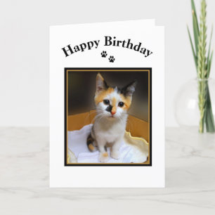 Calico Kitten Happy Birthday Card
