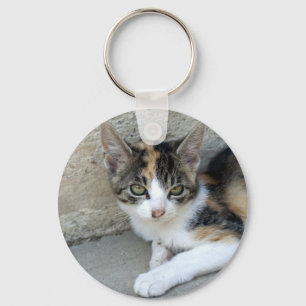 Calico Kitten Key Ring