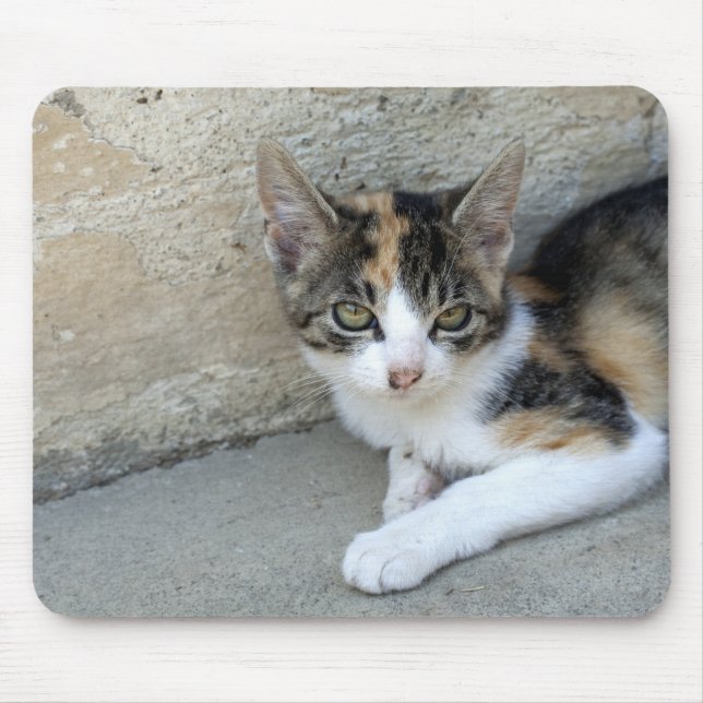 Calico Kitten Mouse Mat (Front)