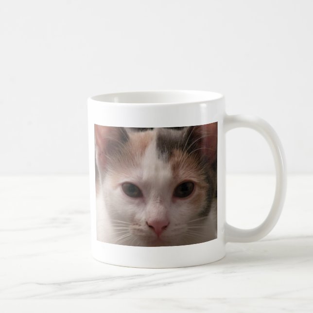 Calico kitten mug (Right)