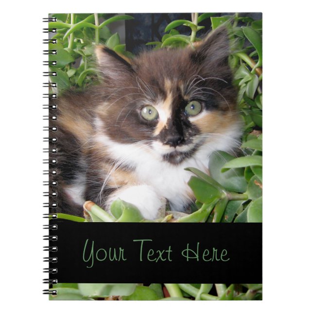 Calico Kitten Notebook (Front)