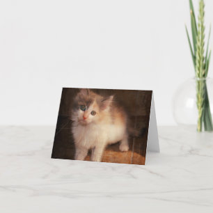 Calico Kitten Notecard