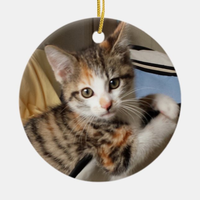 Calico Kitten Ornament (Front)