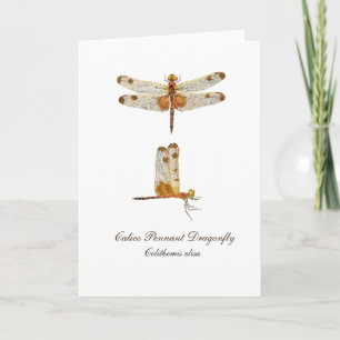 Calico Pennant Dragonfly Greeting Card