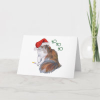 Calico Persian Cat Christmas
