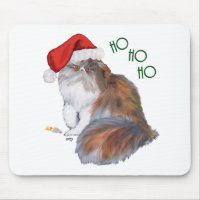 Calico Persian Cat Christmas