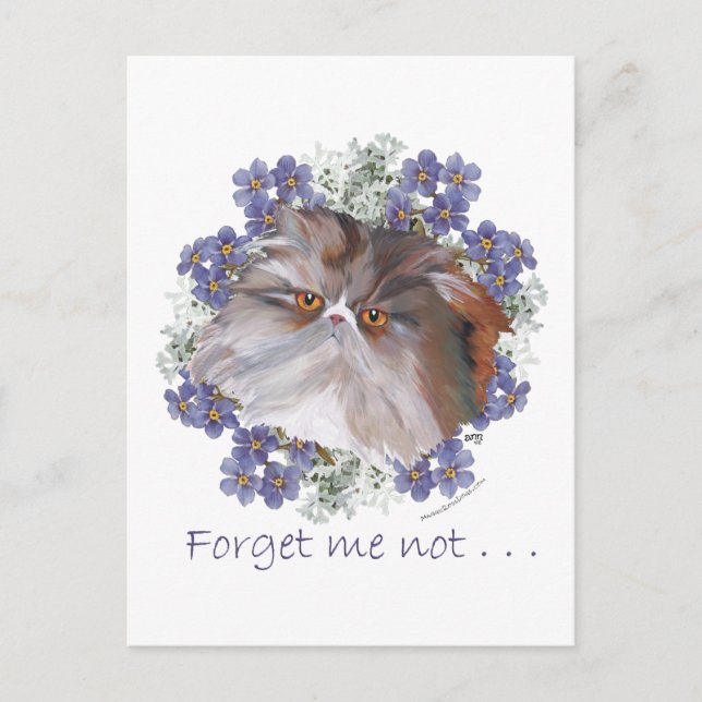 Calico Persian Cat Forget-Me-Not Postcard (Front)