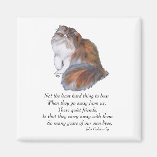 Calico Persian Cat Rainbow Bridge Magnet