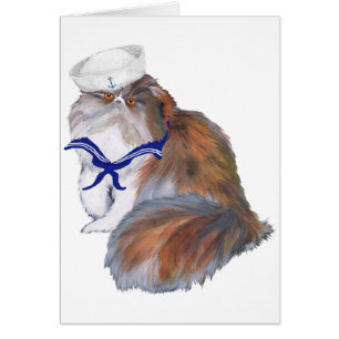 Calico Persian Cat Sailor