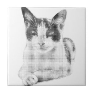 Calico Pop Halftone Tile
