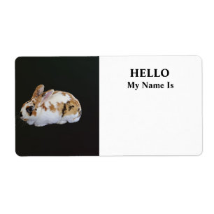 Calico Rabbit