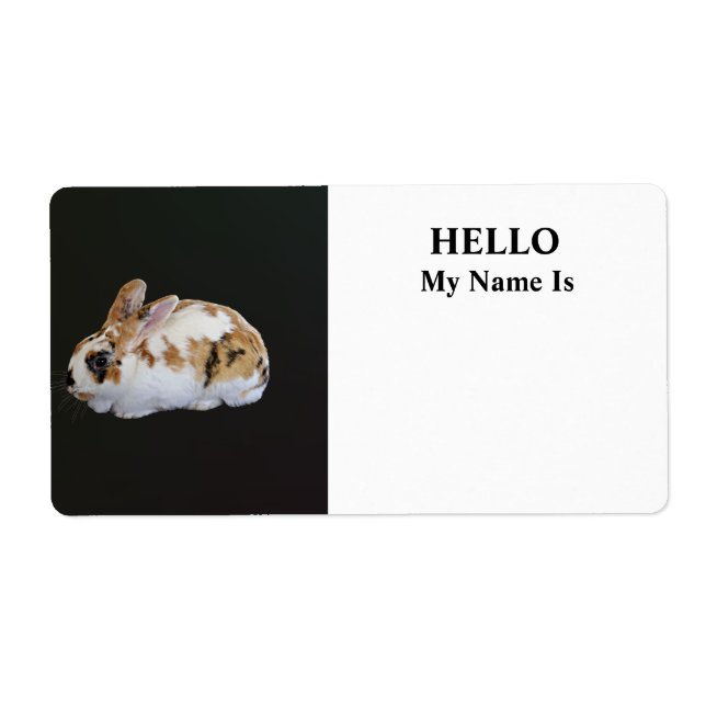 Calico Rabbit (Front)