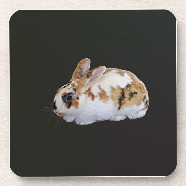 Calico Rabbit Coaster (Front)