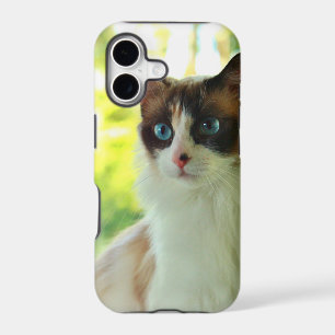 Calico Ragdoll Kitty Custom Phone Cases and Skins